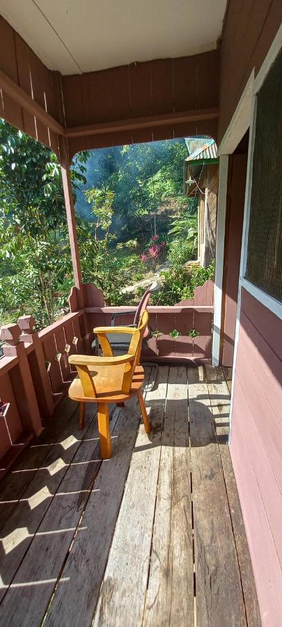 Pak Mus Guest House Ketambe - 0813-7072-1793 Kutacane Exterior photo