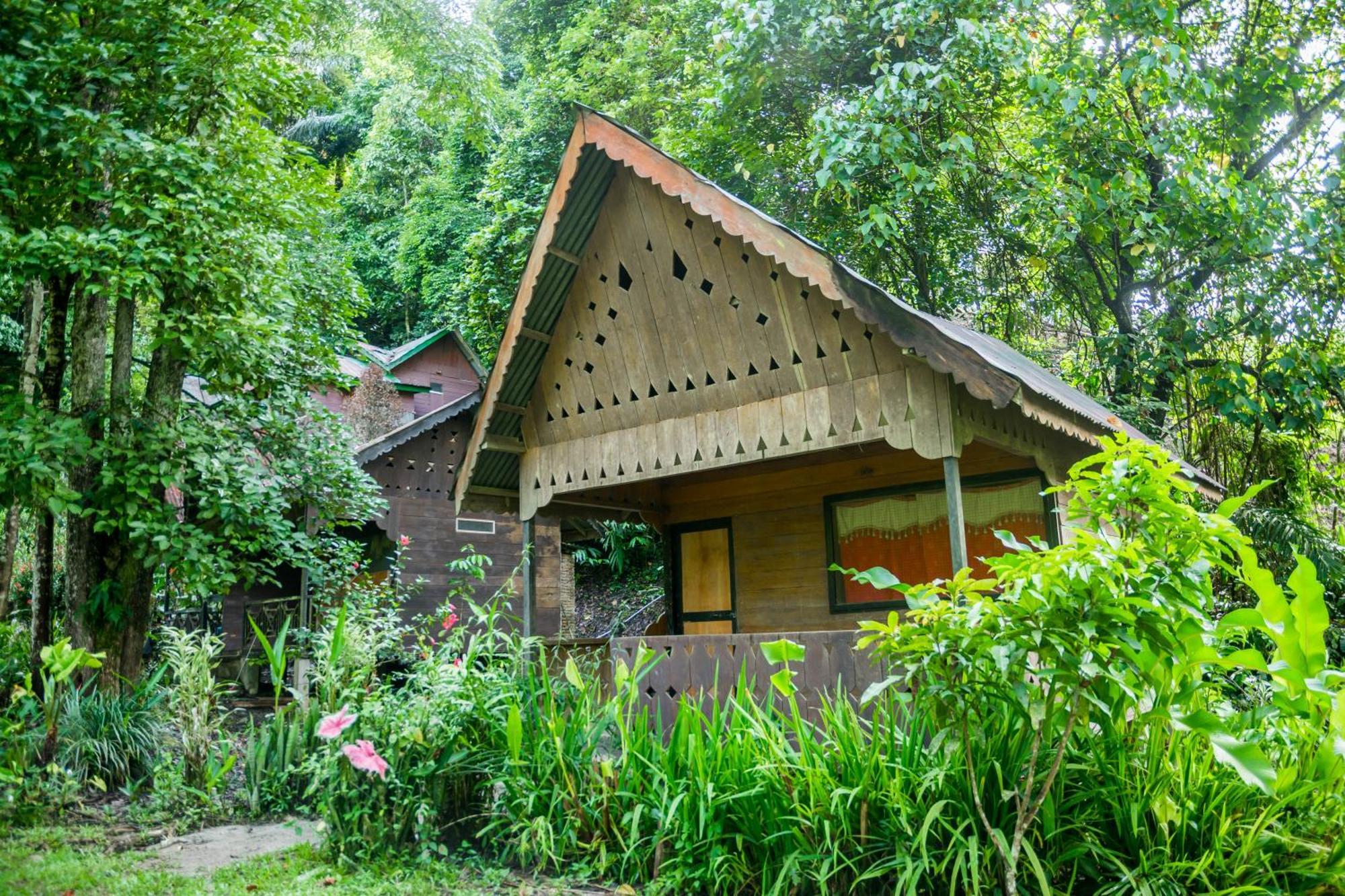 Pak Mus Guest House Ketambe - 0813-7072-1793 Kutacane Exterior photo