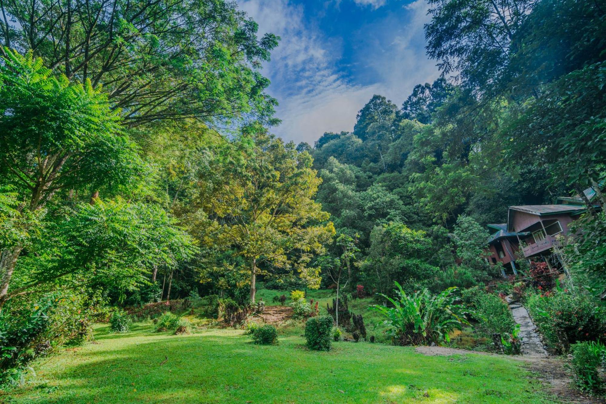 Pak Mus Guest House Ketambe - 0813-7072-1793 Kutacane Exterior photo