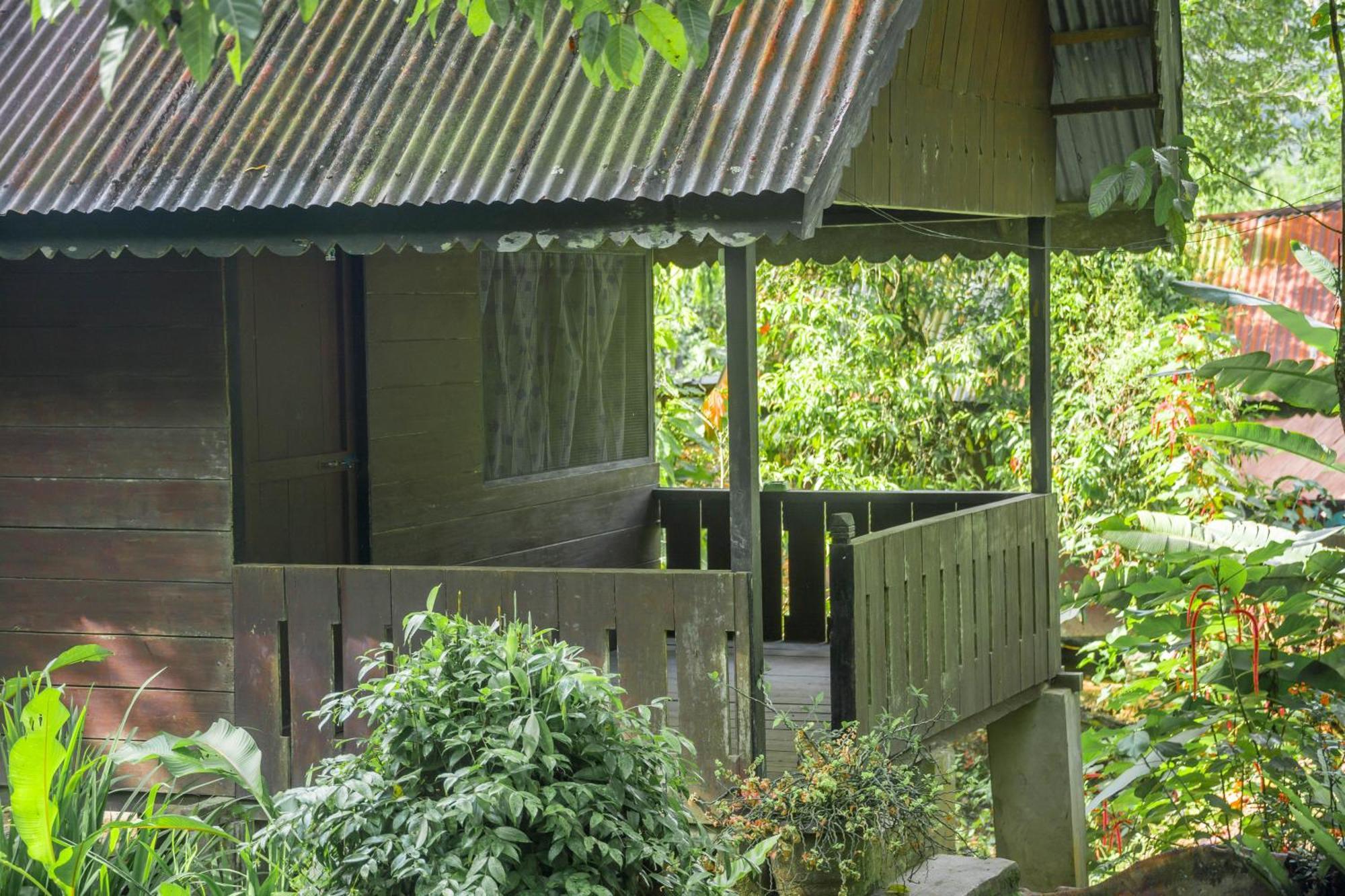 Pak Mus Guest House Ketambe - 0813-7072-1793 Kutacane Exterior photo