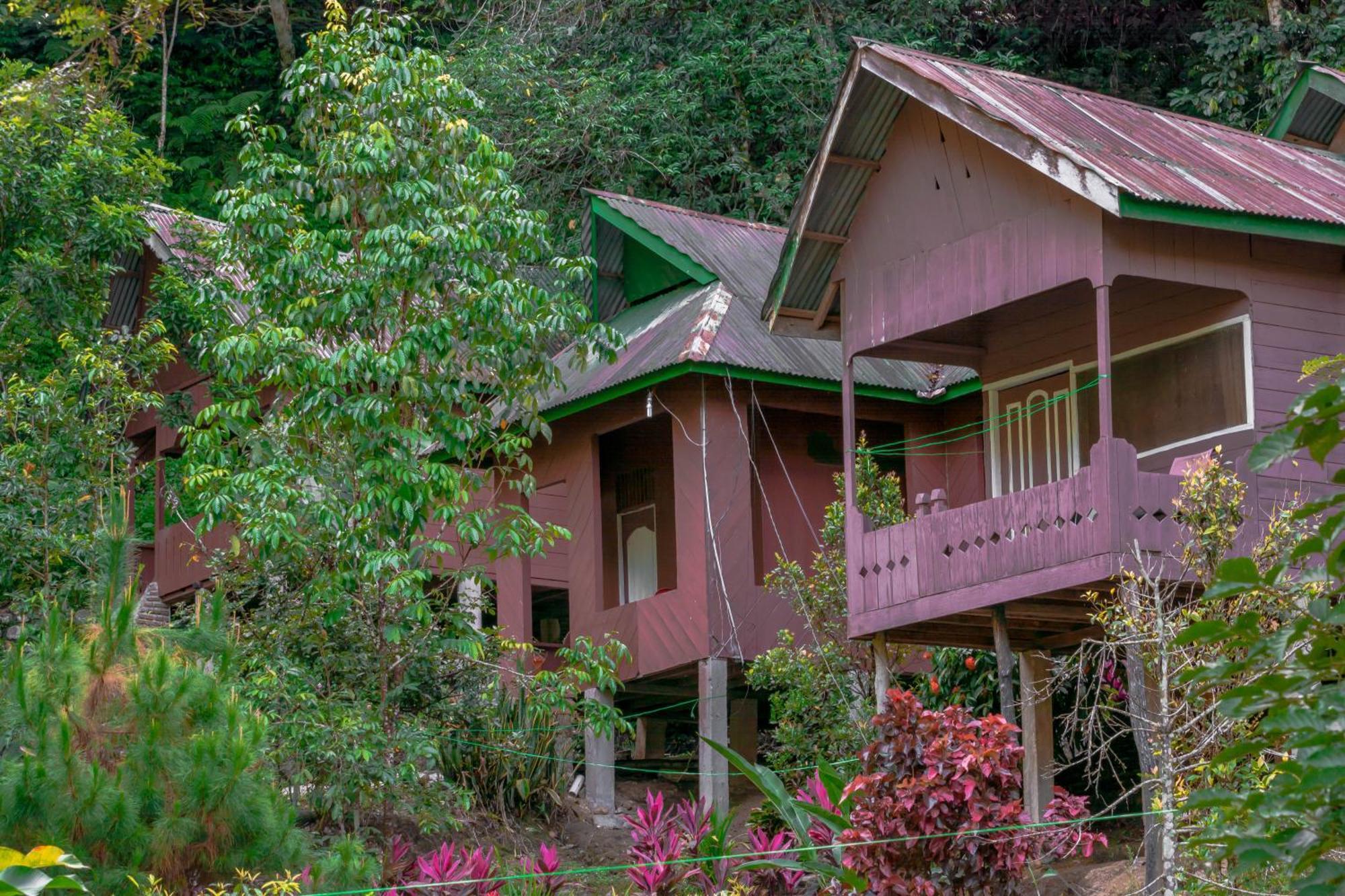 Pak Mus Guest House Ketambe - 0813-7072-1793 Kutacane Exterior photo