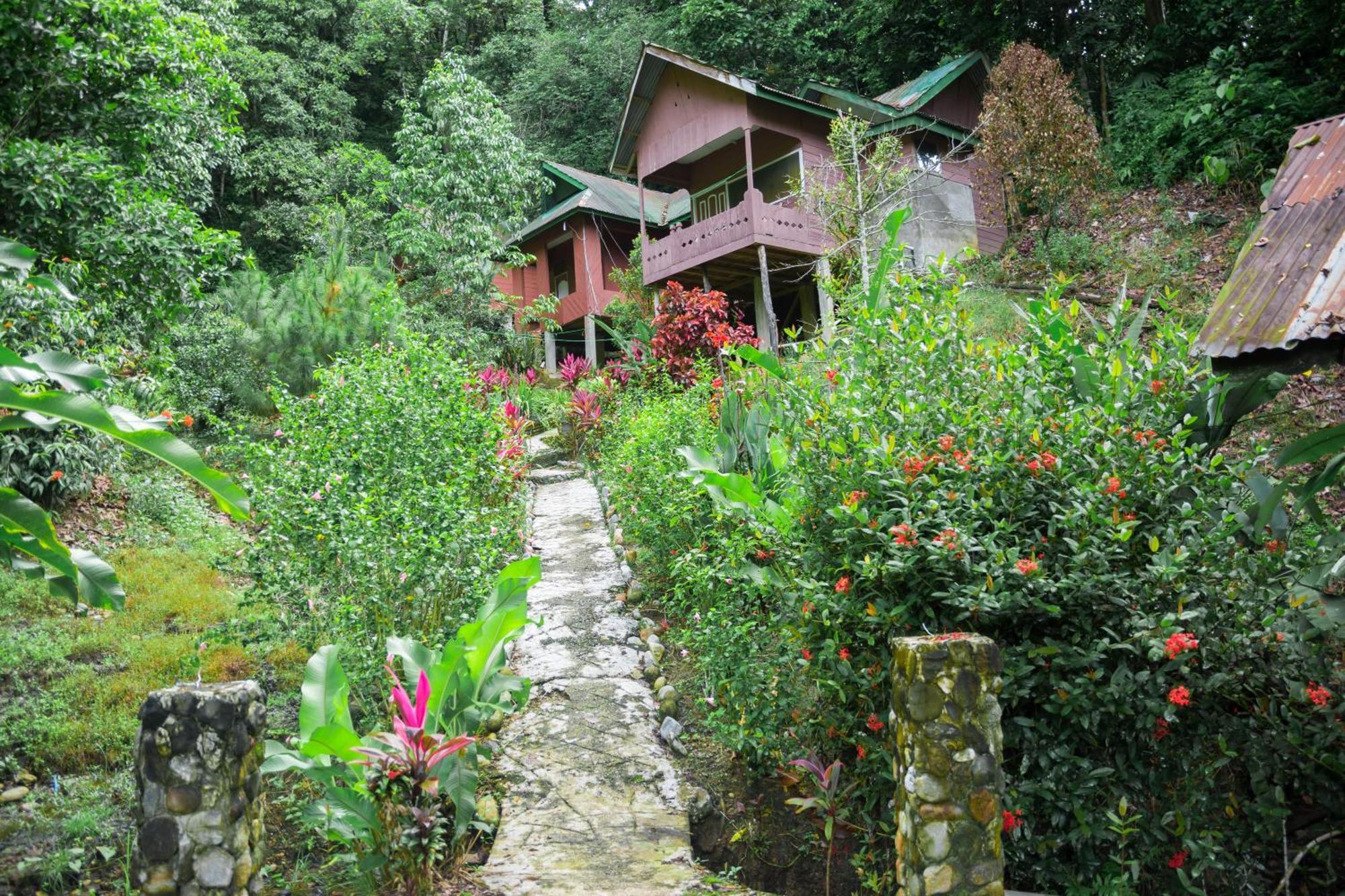 Pak Mus Guest House Ketambe - 0813-7072-1793 Kutacane Exterior photo