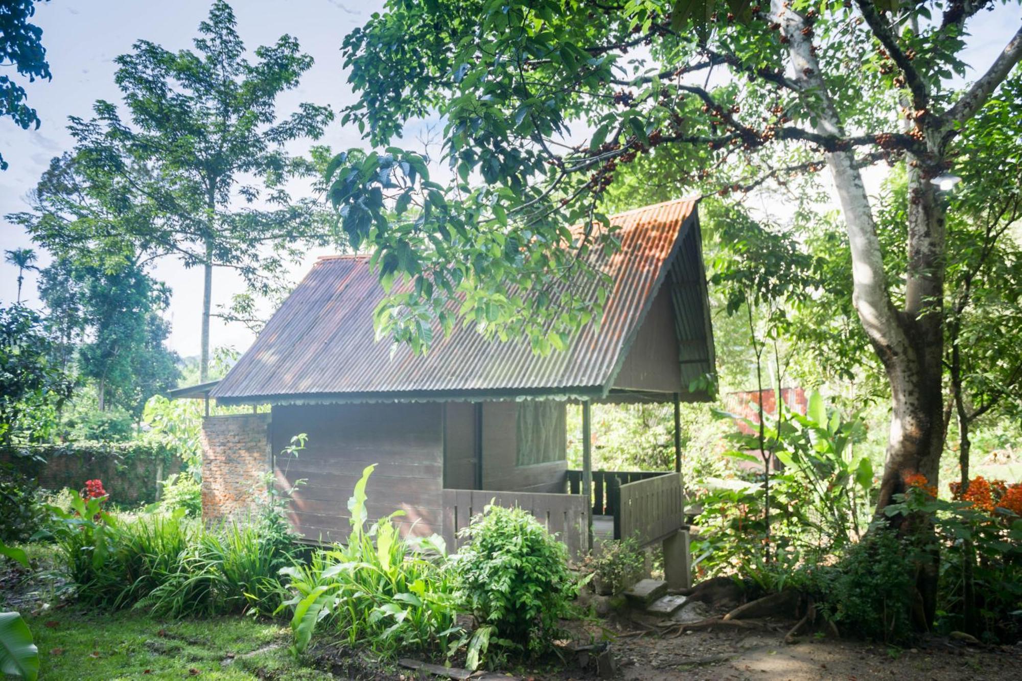 Pak Mus Guest House Ketambe - 0813-7072-1793 Kutacane Exterior photo