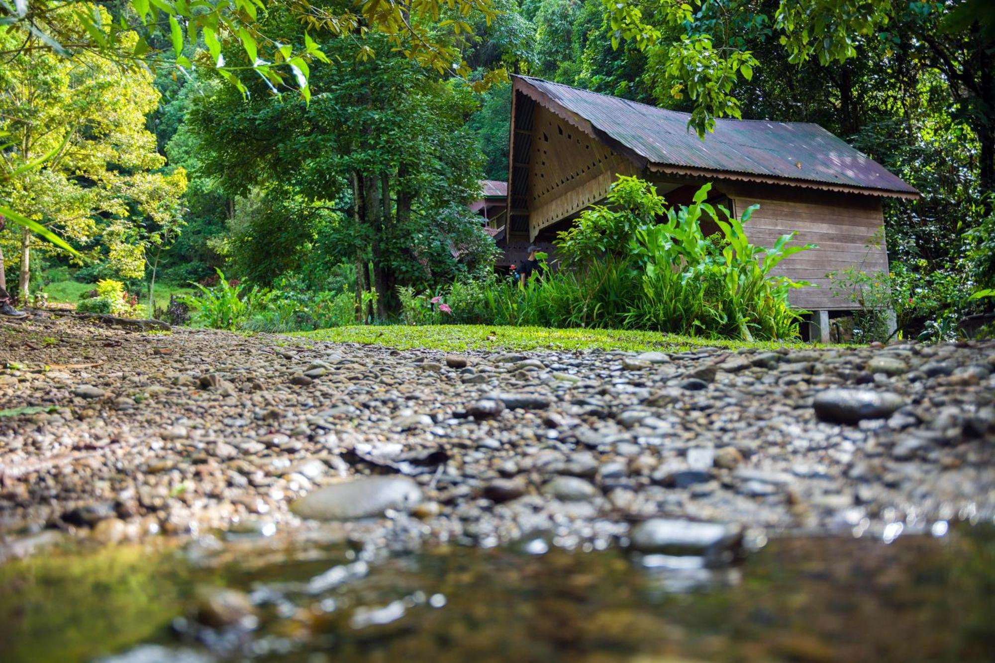 Pak Mus Guest House Ketambe - 0813-7072-1793 Kutacane Exterior photo